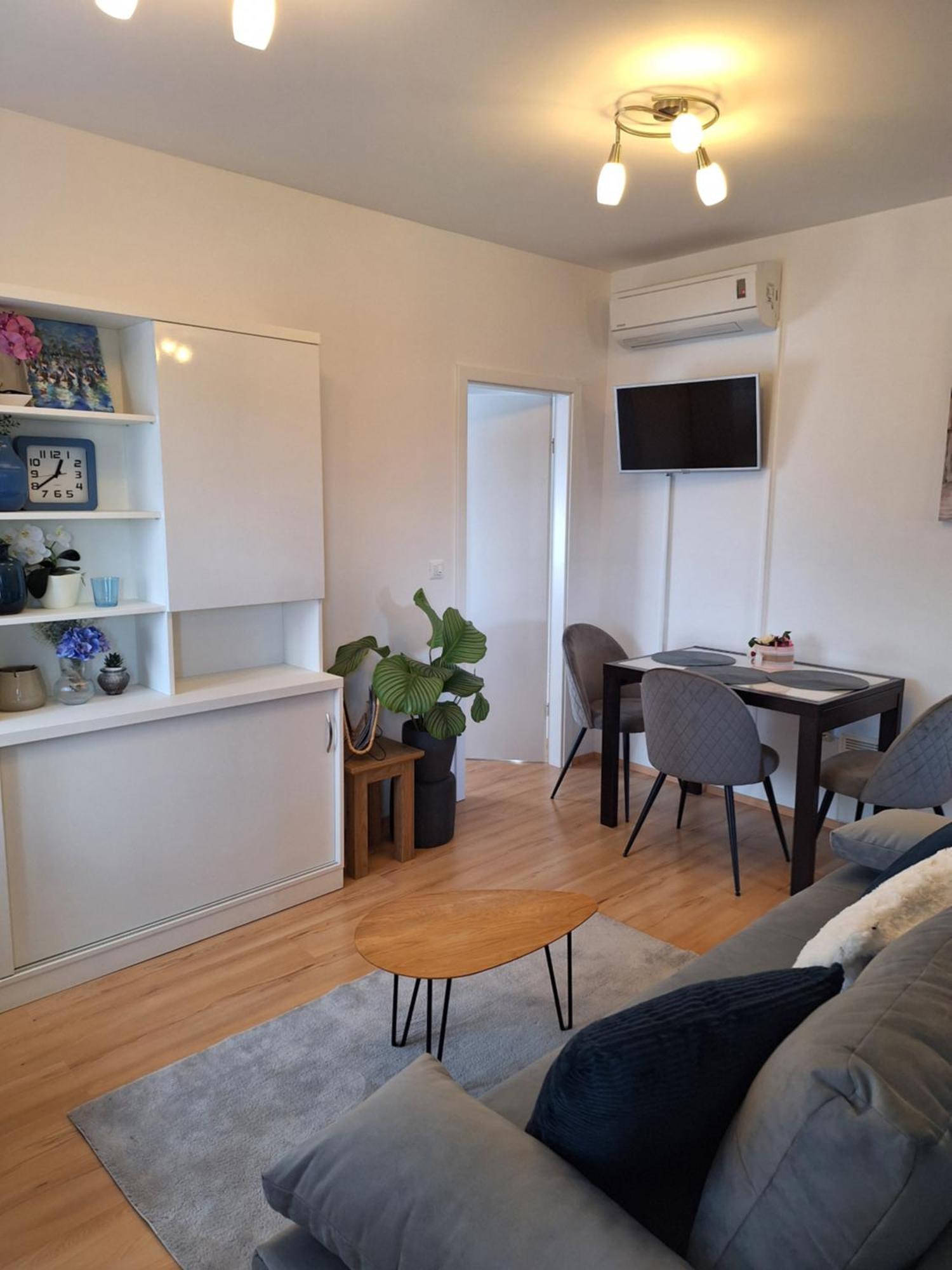 Apartment Dorina Buje Eksteriør billede