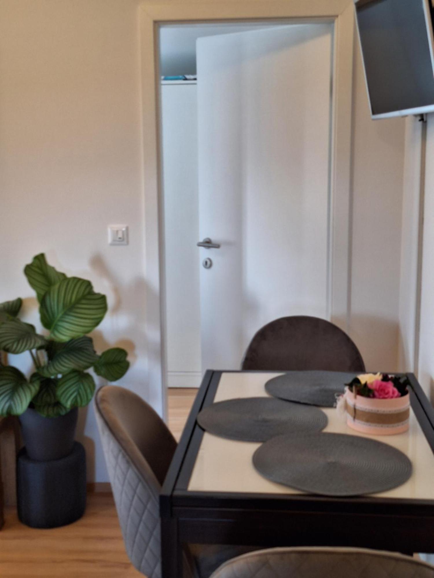 Apartment Dorina Buje Eksteriør billede