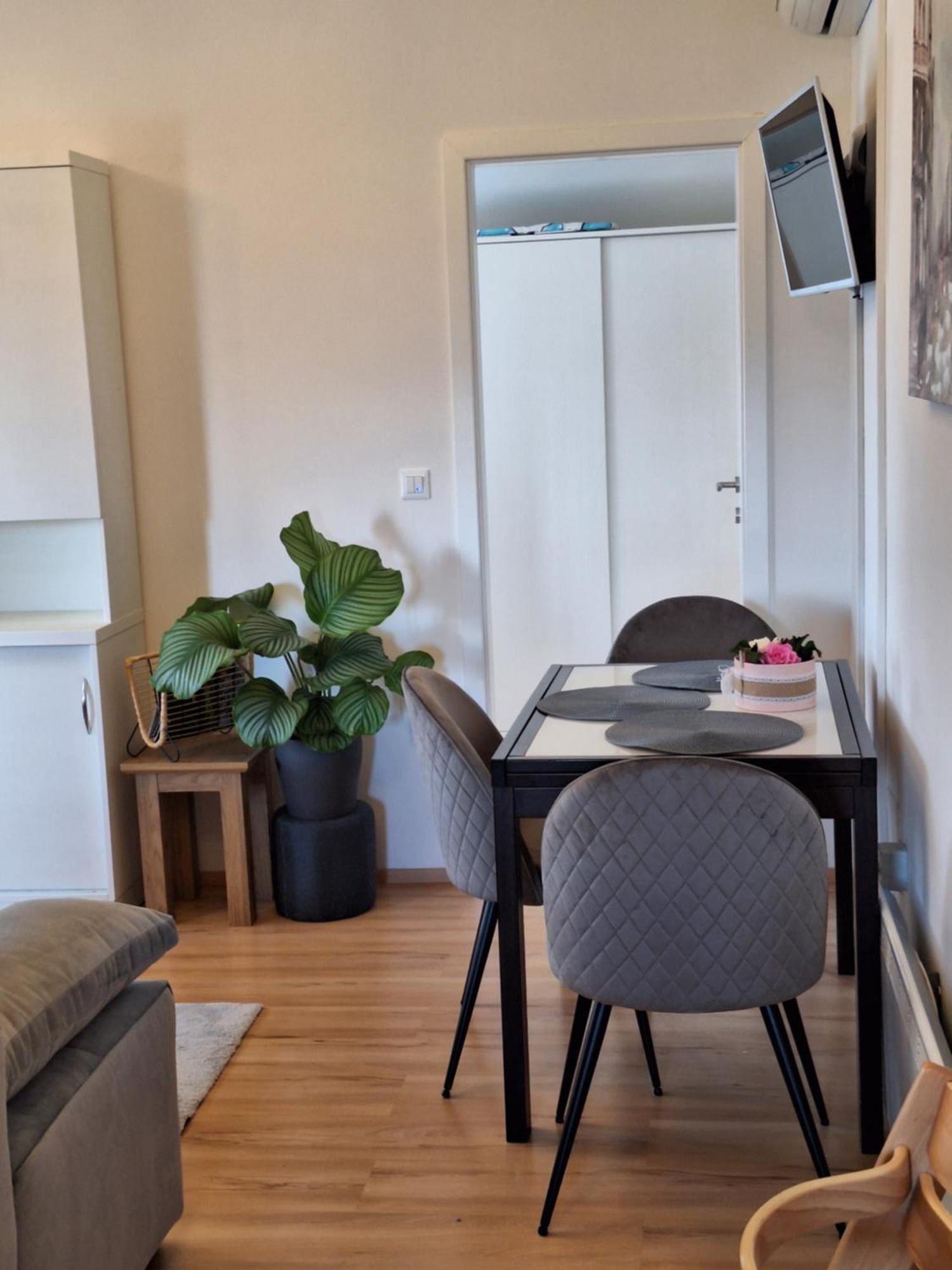 Apartment Dorina Buje Eksteriør billede